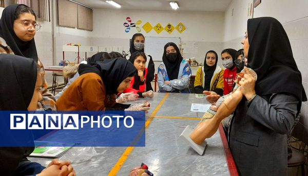 کارگاه تشریح قلب و آناتومی بدن انسان