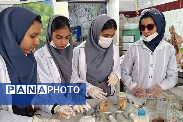 داوری مرحله استانی محور فعالیت های آزمایشگاهی جشنواره نوجوان خوارزمی در پژوهشرای دکتر حسابی