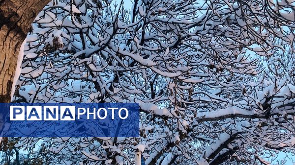 بارش برف جلوه ای از نعمت الهی در روزهای سفید باخرز