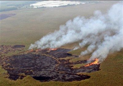 آخرین وضعیت اطفاء حریق در بخش عراقی تالاب هورالعظیم