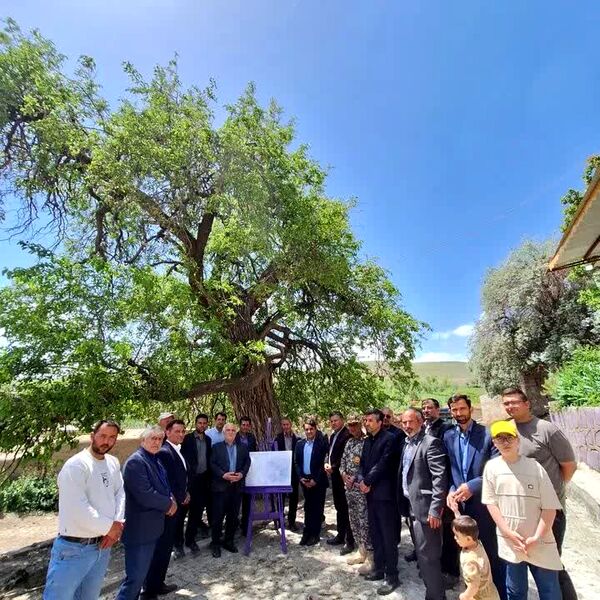 دومین جشنواره فرهنگی و ورزشی در روستای جوبند اهر