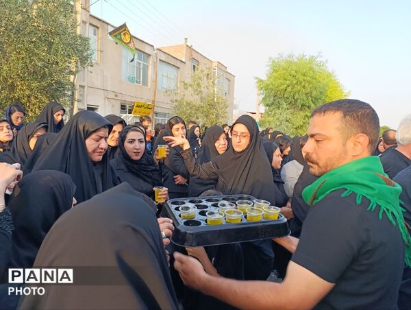 زمزمه‌ های سوگ در کوچه‌های خشتی؛ وقتی نخل چاه‌ ملکی به یاد حسین (ع) برمی‌خیزد