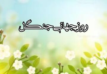 سرمایه زمین چیست؟ 