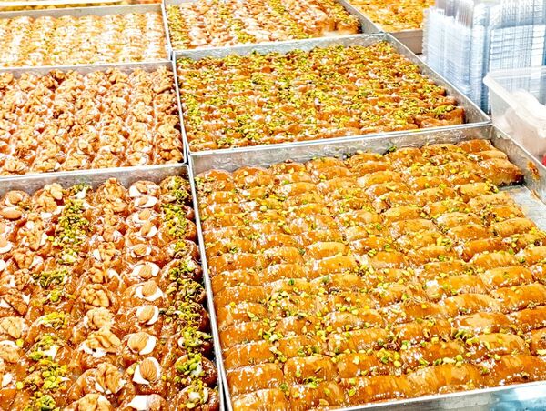 برپایی نمایشگاه بهاره در کاشمر