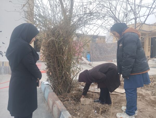 کاشت درخت در هنرستان بصیرت آشخانه