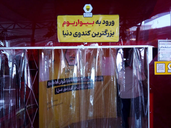 بازدید معاونان پرورشی مدارس قم از «شهر زنبورها»