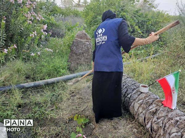 کاشت نهال به یاد دانش‌آموزان شهید مدرسه شجره طیبه میناب در سندرک
