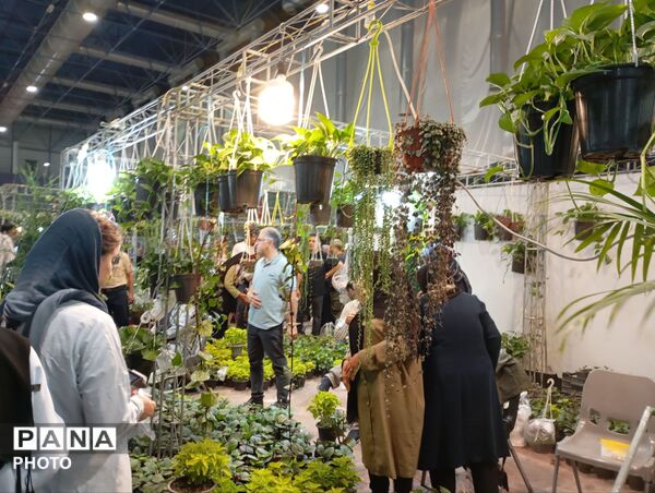 نمایشگاه گل و گیاه مشهد فرصتی برای دیدن زیبایی‌های طبیعت و خرید