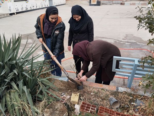 کاشت درخت در هنرستان بصیرت آشخانه