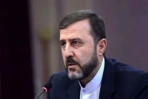 غریب آبادی: شورای حکام نباید محل سفیدشویی تجاوز نظامی شود