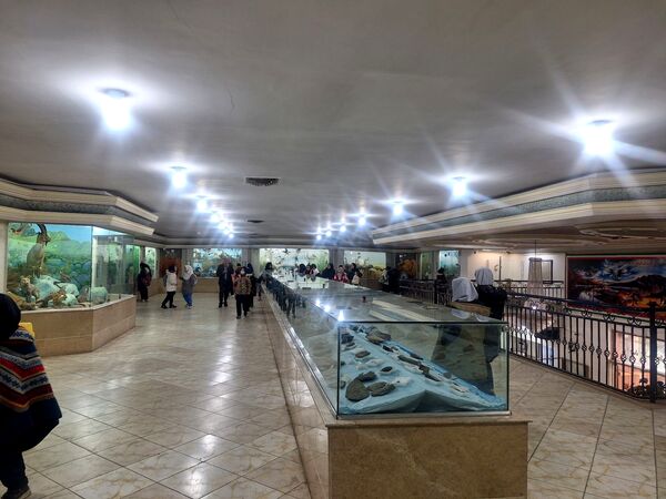 اردوی علمی ،تفریحی دانش آموزان مدرسه مهندس رحمانی فرد در پژوهش سرای علامه طباطبایی
