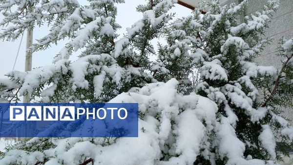 بارش باران و برف زمستانی در روستای کینک