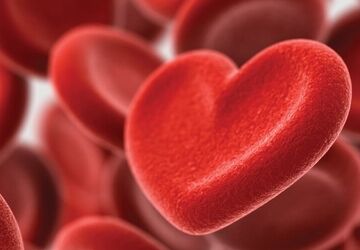 قطره‌ای از زندگی، پلی به سوی نجات انسان‌ها
