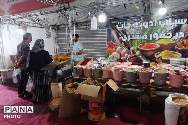 جشنواره گلاب گیری میناب با عطر شهدا 