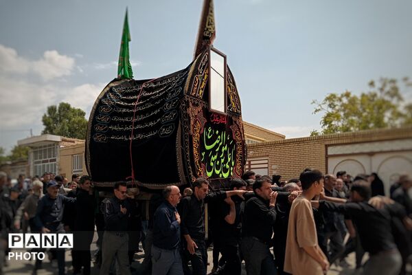 آیین سنتی نخل برداری در بنادکوک دیزه به مناسبت شهادت امام رضا (ع)