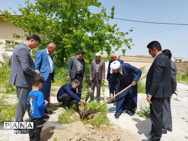 ۴ اصل نخل؛ نماد پاسداشت شهیدان و همدلی در منطقه شیب‌کوه 