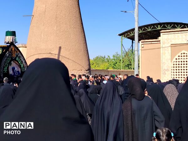 نخل‌برداری روز عاشورا در روستای صالح آباد شهرستان تفت