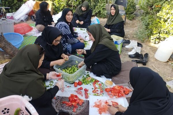 موکب‌هایی که ایران را در آغوش کشیدند