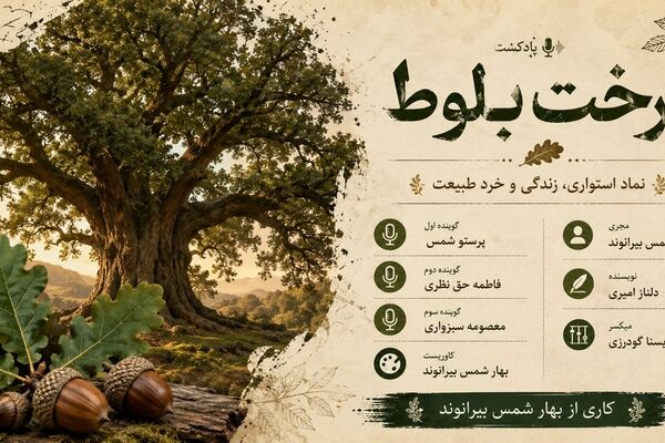 بلوط لرستان؛ میراث سبز و کهن زاگرس