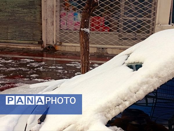 برف میهمان کاشمر شد