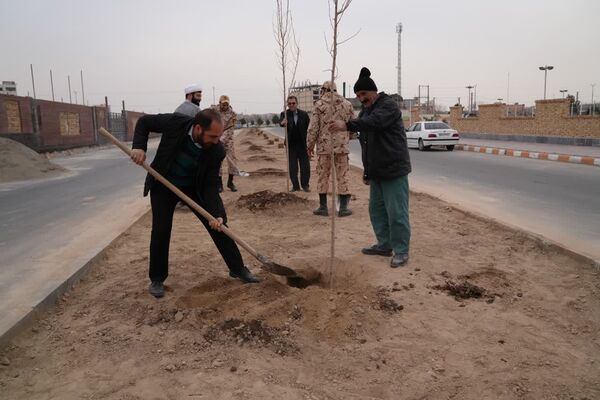 کاشت درخت به یاد شهدا در محمدشهر 