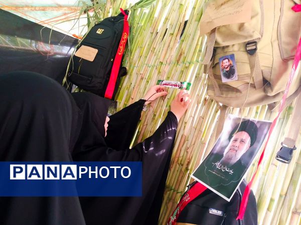 پیاده‌روی جاماندگان اربعین در میاندورود 