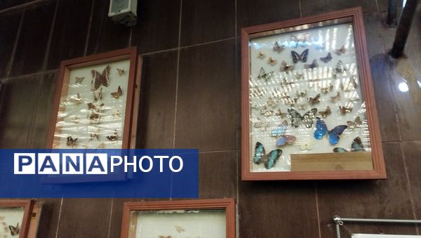 اردوی علمی تفریحی خبرنگاران پانای استان اصفهان