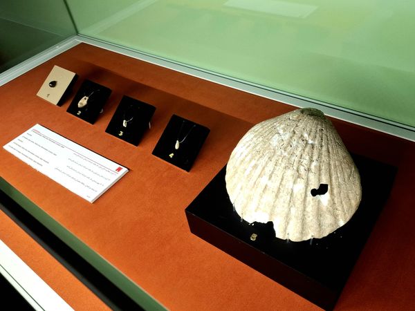 گشتی در تاریخ؛ از مدرسه دارالفنون به سمت دوره ایران باستان