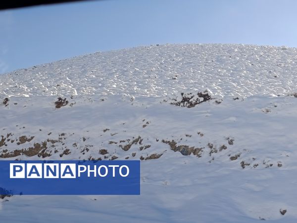 برف زمستانی مهمان شهرستان کیار شد