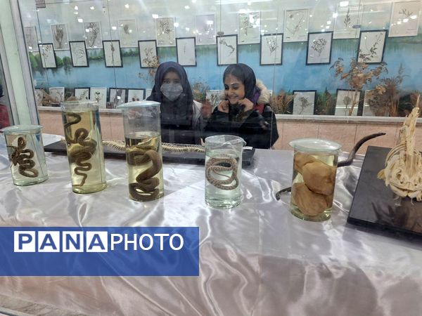 اردوی علمی ،تفریحی دانش آموزان مدرسه مهندس رحمانی فرد در پژوهش سرای علامه طباطبایی