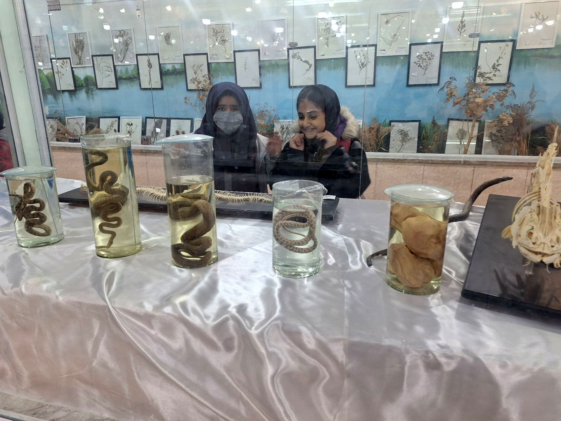 اردوی علمی ،تفریحی دانش آموزان مدرسه مهندس رحمانی فرد در پژوهش سرای علامه طباطبایی