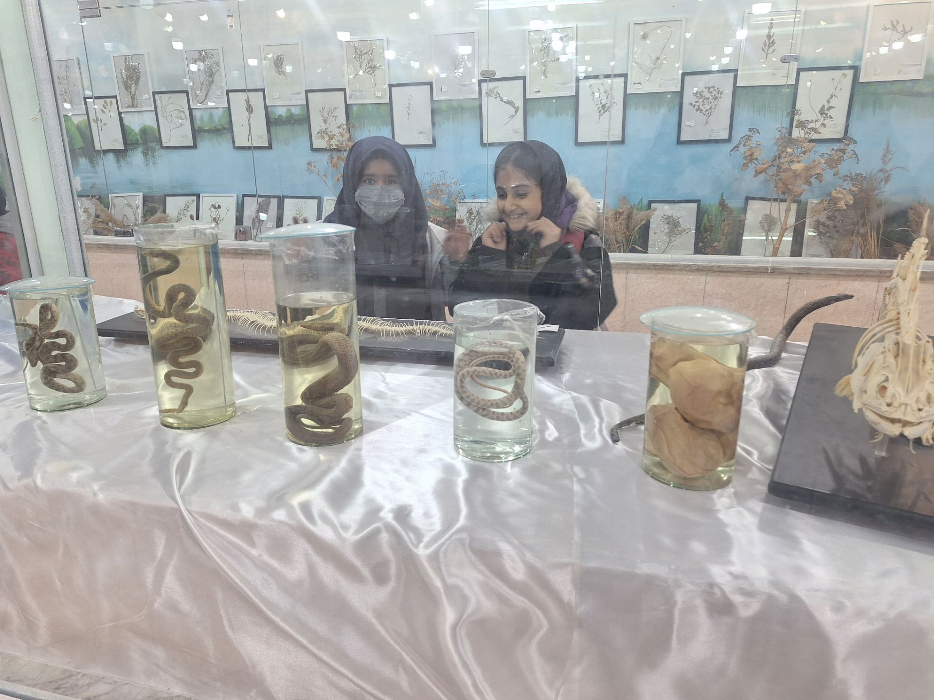 اردوی علمی ،تفریحی دانش آموزان مدرسه مهندس رحمانی فرد در پژوهش سرای علامه طباطبایی