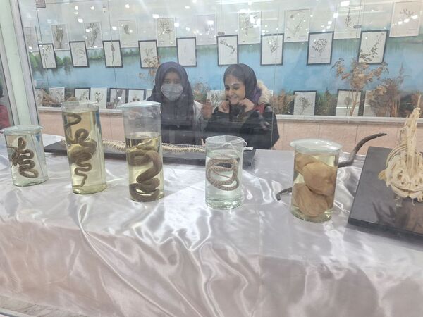 اردوی علمی ،تفریحی دانش آموزان مدرسه مهندس رحمانی فرد در پژوهش سرای علامه طباطبایی