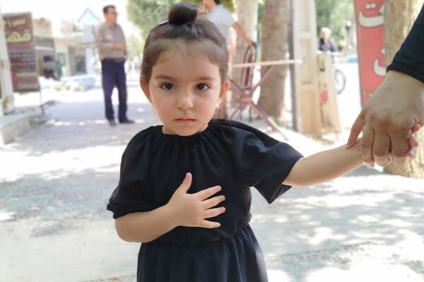 شکوه عزاداران رضوی در لردگان