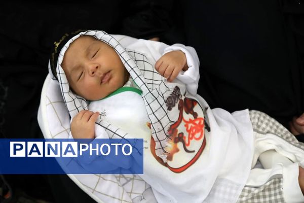 همایش شیرخوارگان حسینی در مشهداردهال کاشان