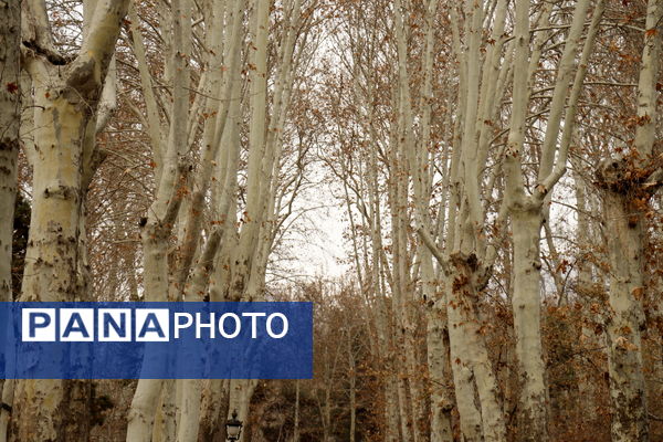 خلوت سرای پاییزی سعدآباد