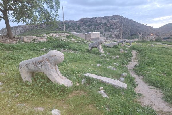 قبرستانی تاریخی و سرسبز به قدمت چند صد ساله در فارس