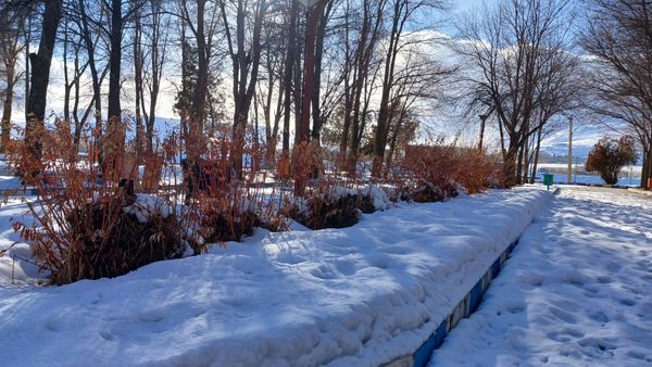 چهره زمستانی شهر فارسان 
