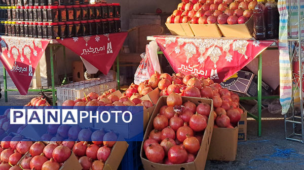 یاقوت سرخ اراک در جشنواره انار به نمایش درآمد