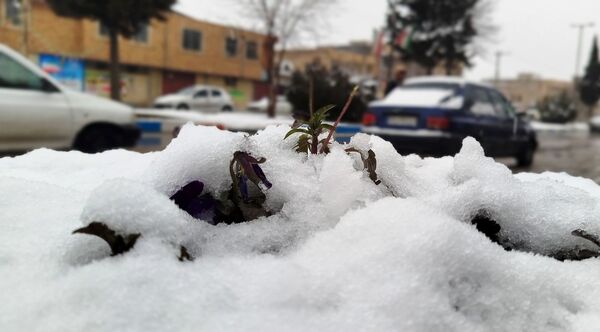 لردگان میزبان اولین برف زمستانی 