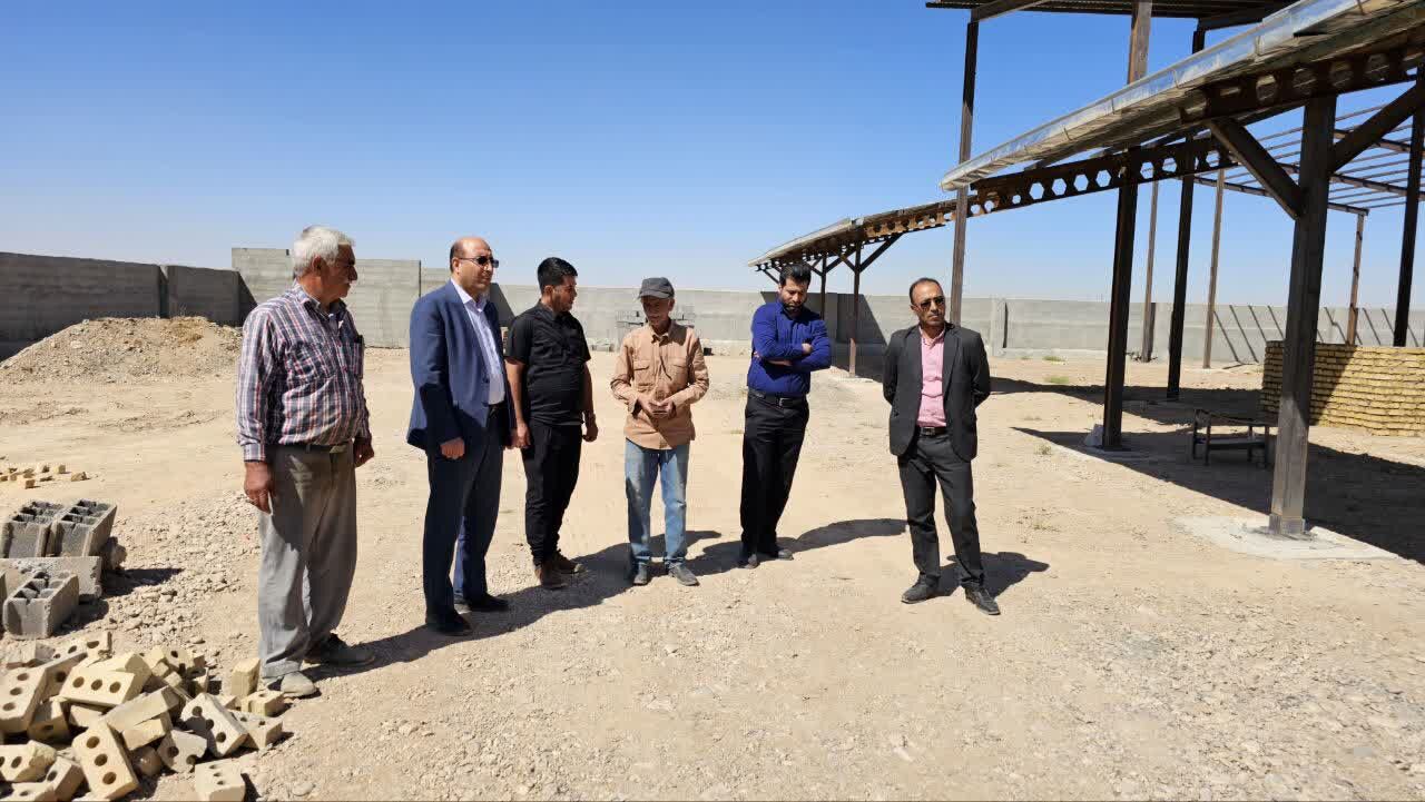 بازدید از طرح در حال احداث پرورش گاوشیری صنعتی