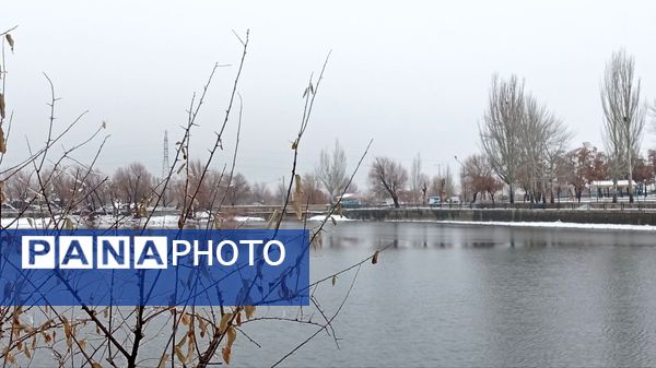 گرداب بن زیر چتر سپید برف