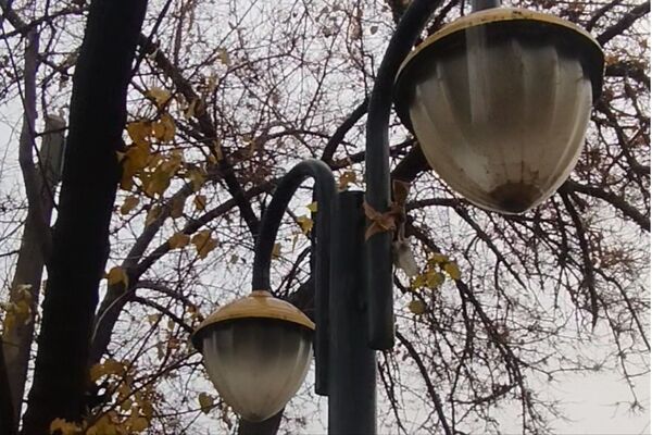 جلوه هایی از باران پاییزی در کاشمر