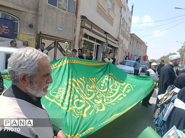 دسته عزاداری عاشقان امام رضا (ع)در بهار