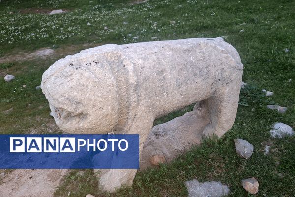 قبرستانی تاریخی و سرسبز به قدمت چند صد ساله در فارس