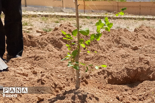 کاشت نهال در اردوگاه شهید سلیمانی منطقه نیر به یاد شهدای مظلوم میناب