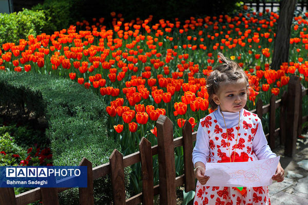 جشنواره لاله ها در کرج