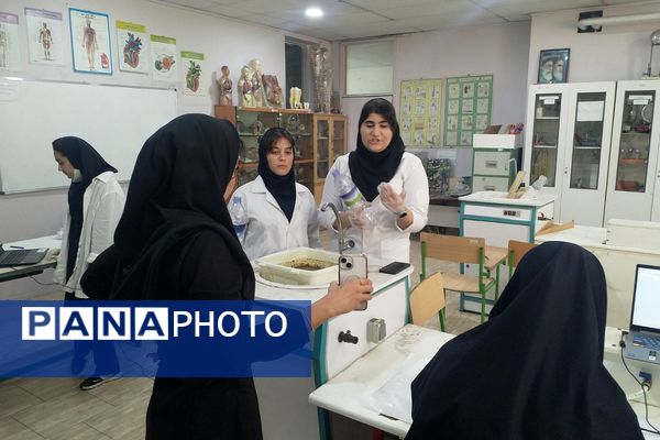 برگزاری جشنواره خوارزمی در پژوهشسرای بصیرت یک ناحیه دو شهرری 