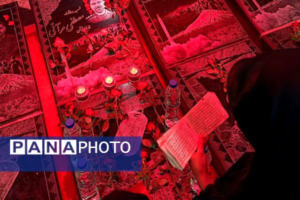 عشق و ارادت مردم شهرستان ملارد به امام رضا (ع) به روایت تصویر