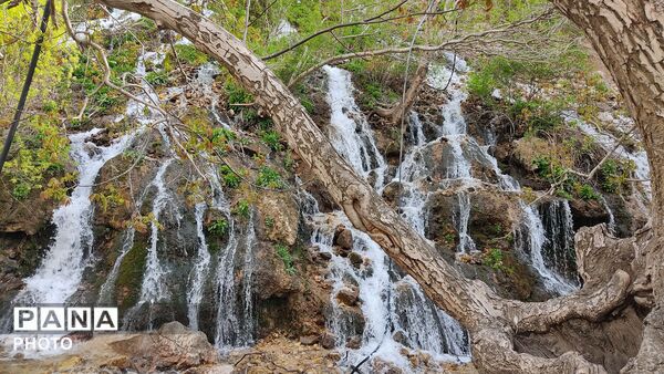 آلبوم تصویری از طبیعت زیبای شهر بار در اردیبهشت‌ماه  ۱۴۰۵ -1